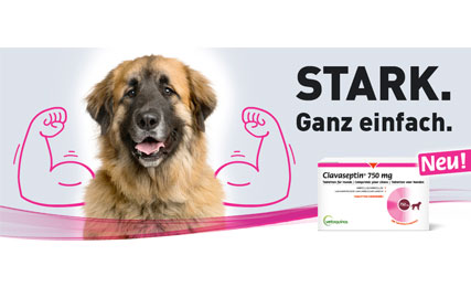 Clavaseptin 750mg