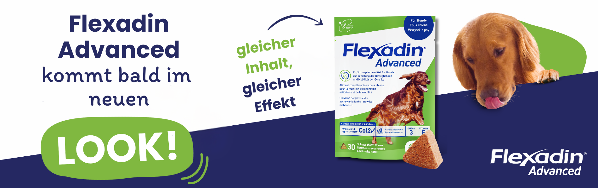 Flexadin Advanced Hund bald im neuen Design