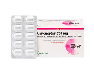 Vetoquinol Clavaseptin 750mg