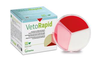 VetoRapid Februar 2025 AT