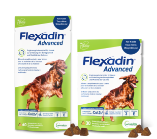 Flexadin Advanced für Hunde