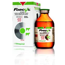 forcyl_packshot forcyl_packshot