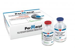 packshot_permacyl packshot_permacyl